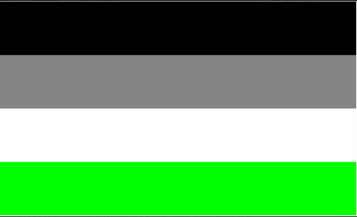 Agender Flag - alternative design