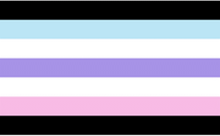 Androgyne Flag - alternative design