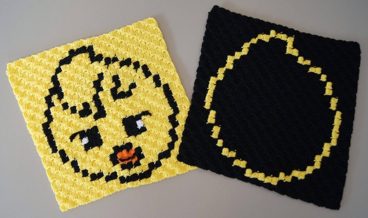 SKZOO Double-Sided Member Cushion - DANCERACHA