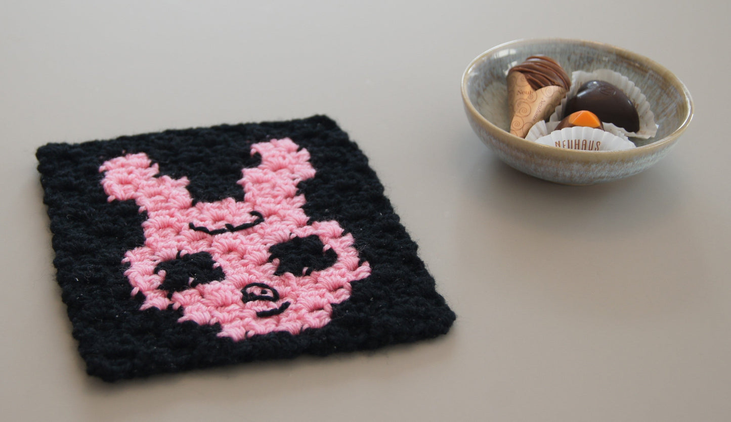 Mini SKZOO Cushion with Plain Back