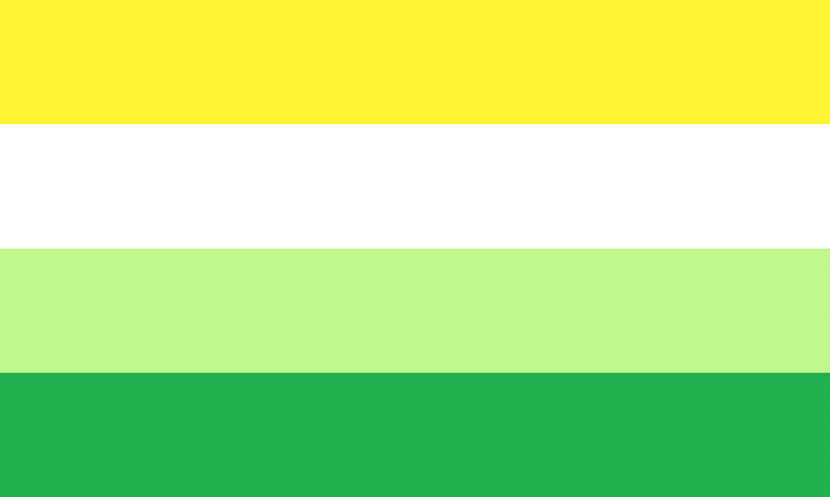 Gender Neutral Flag
