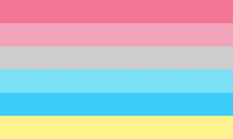 Genderflux Flag