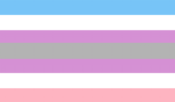 Intergender Flag - older design