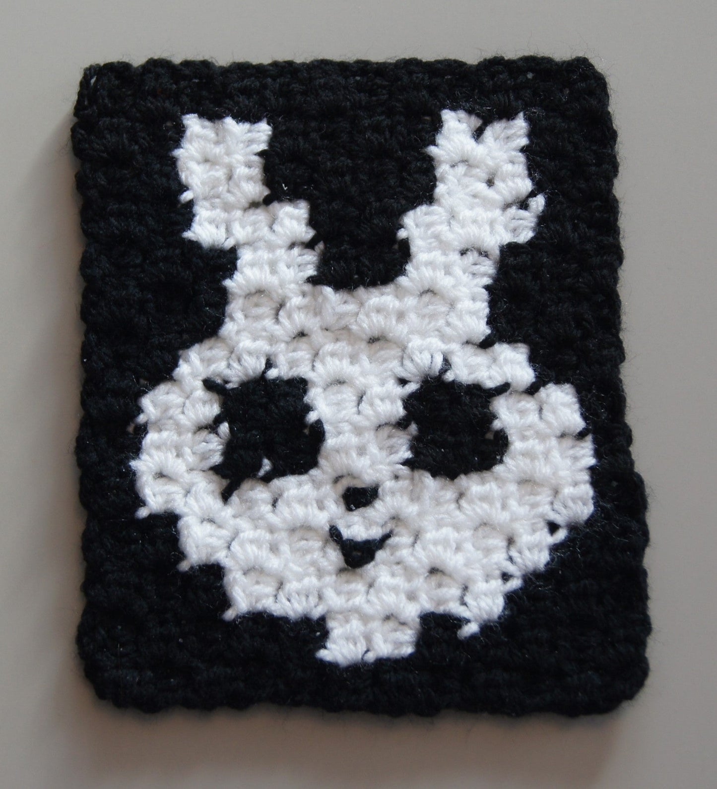 Mini SKZOO Double-Sided Cushion