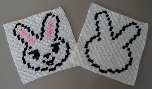SKZOO Double-Sided Member Cushion - DANCERACHA