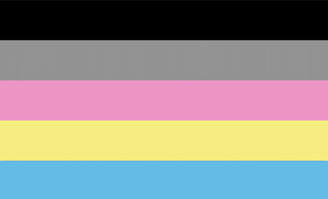 Polygender Flag