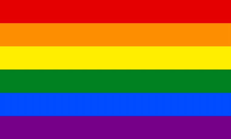 Rainbow Pride Flag (6 stripe)