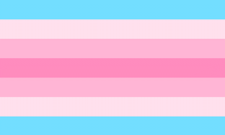 Transfeminine Flag - blue and pink