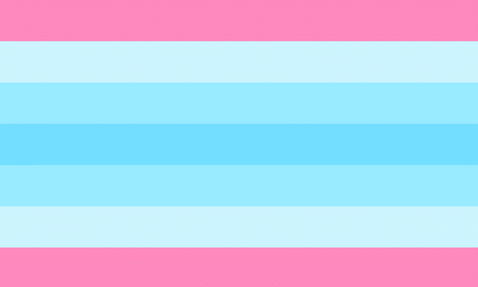 Transmasculine Flag - pink and blue